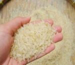 rice hate seddho - Image 2