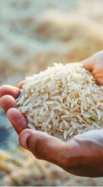 rice bashkathi ankur - Image 4