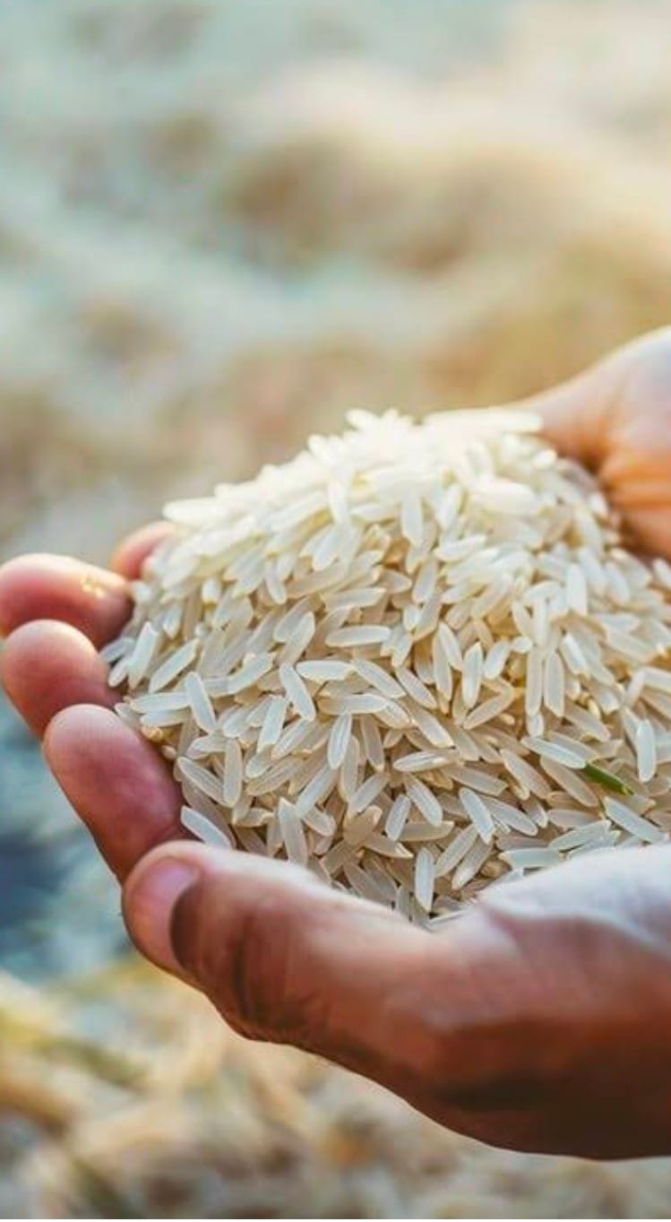 14929bf9-eed3-46ff-be21-6b6bc658558a rice biriyani kekar - Image 1