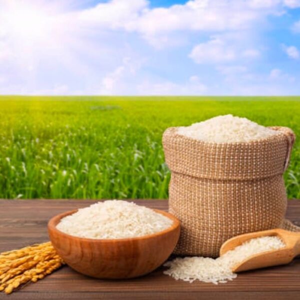 rice bashkathi ankur