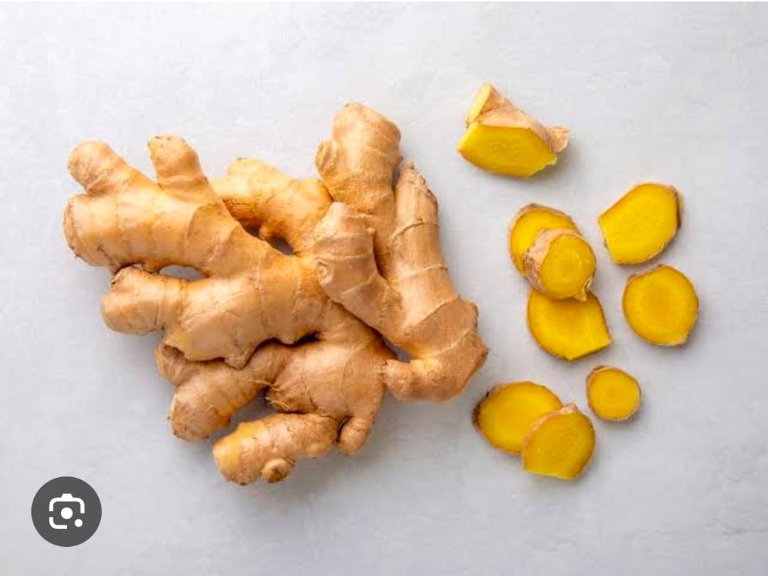 ab3a9fcf-ea12-44d0-b3aa-efe84c5ef2a5 ginger ada - Image 1