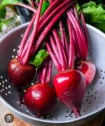 beetroot - Image 4