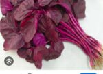 red spinach lal shag