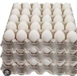 egg G J Poultry - Image 7