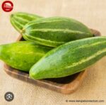 pointed gourd potol - Image 5