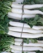 radish mulo - Image 4