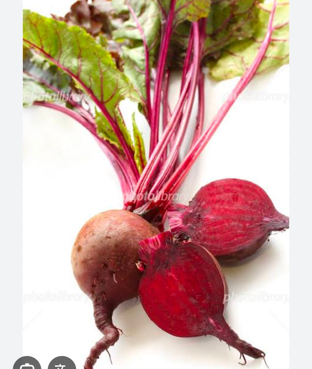 5e354f3d-9f41-4c87-81db-dbb23555705d beetroot - Image 1