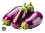 brinjal begun
