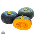 pumpkin kumro