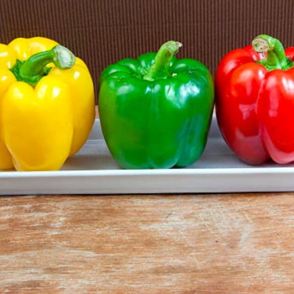 capsicum simla mirchi