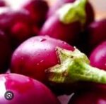 brinjal begun - Image 3