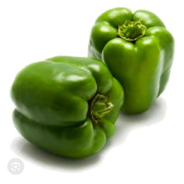 capsicum simla mirchi