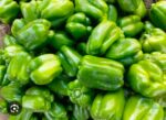 capsicum simla mirchi - Image 4