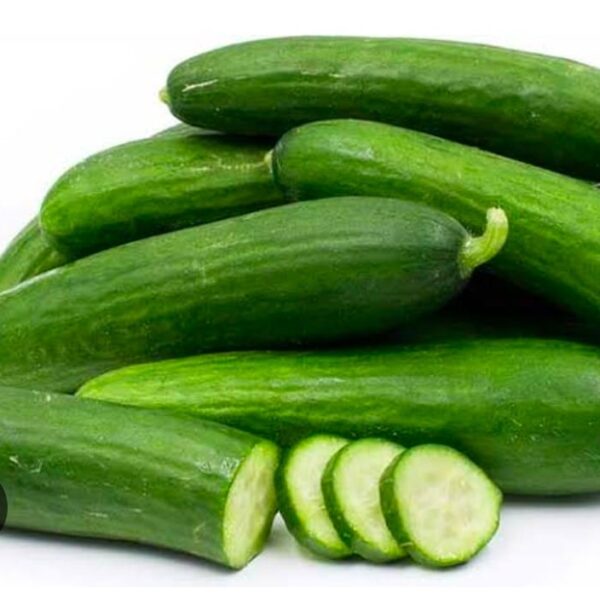 cucumber shosha