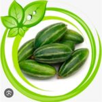 pointed gourd potol - Image 4