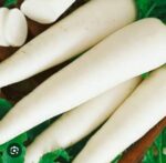 radish mulo - Image 3