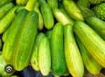 cucumber shosha - Image 2