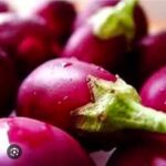 brinjal begun - Image 2