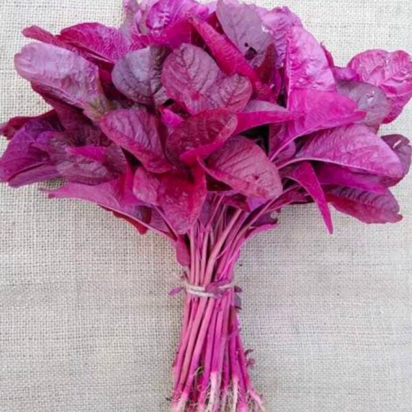 red spinach lal shag