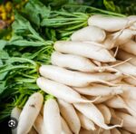 radish mulo - Image 5