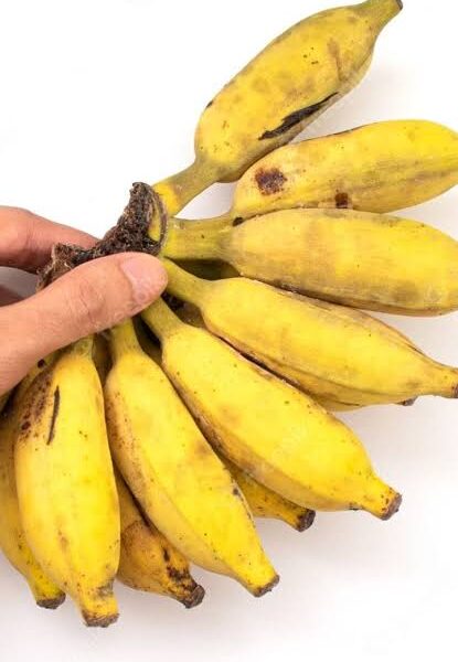 Banana কাঁঠালি কলা 12Pitch