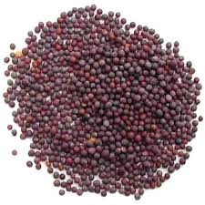 Kalo Sorse কালো সর্ষে 50gm