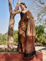 Rainbow Khadi Khadi Cotton Saree - Image 9